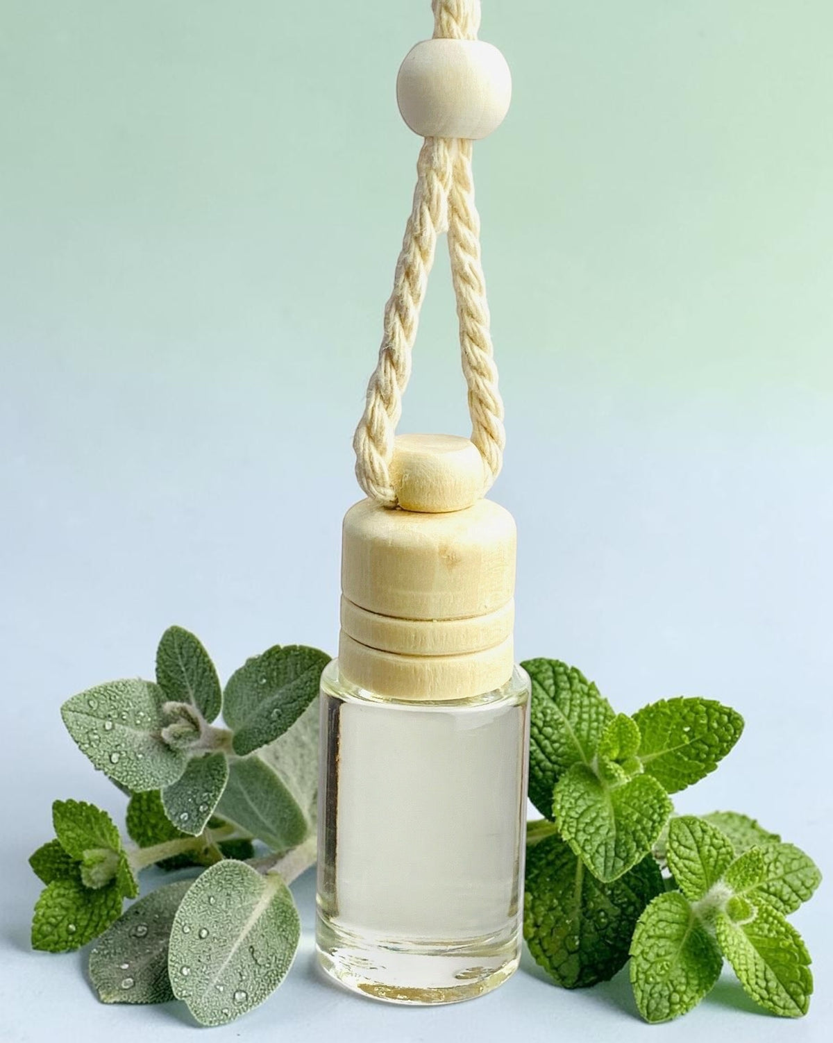 CAR DIFFUSER - EUCALYPTUS MINT
